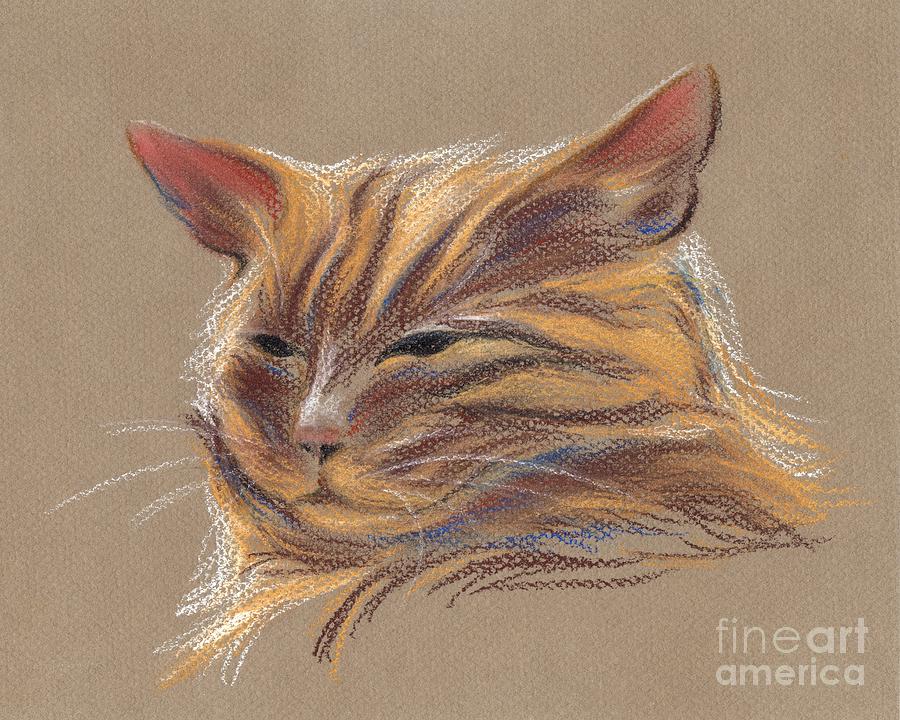 Tabby Cat Portrait in Pastels Pastel by MM Anderson