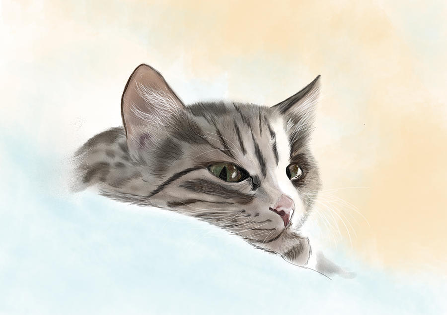 Cat Painting - Tabby Cat by Sarah Dowson