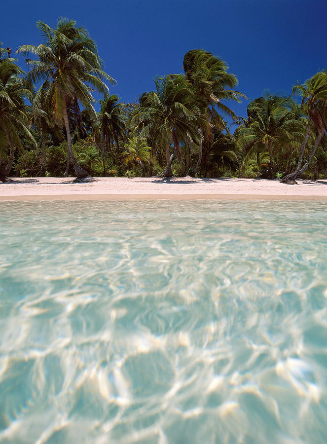 Tabiyana Beach, Bay Islands Honduras Photograph by F. Stuart Westmorland