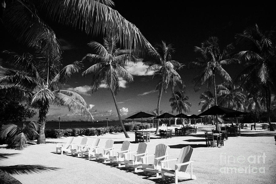 Tables Sun Recliners And Private Beach Surrounded By Palm Trees ...