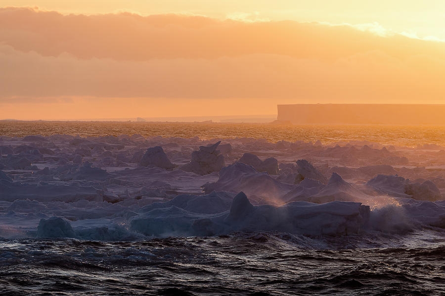 Tabular Iceberg At Sunrise  Antarctica Photograph by Deb Garside