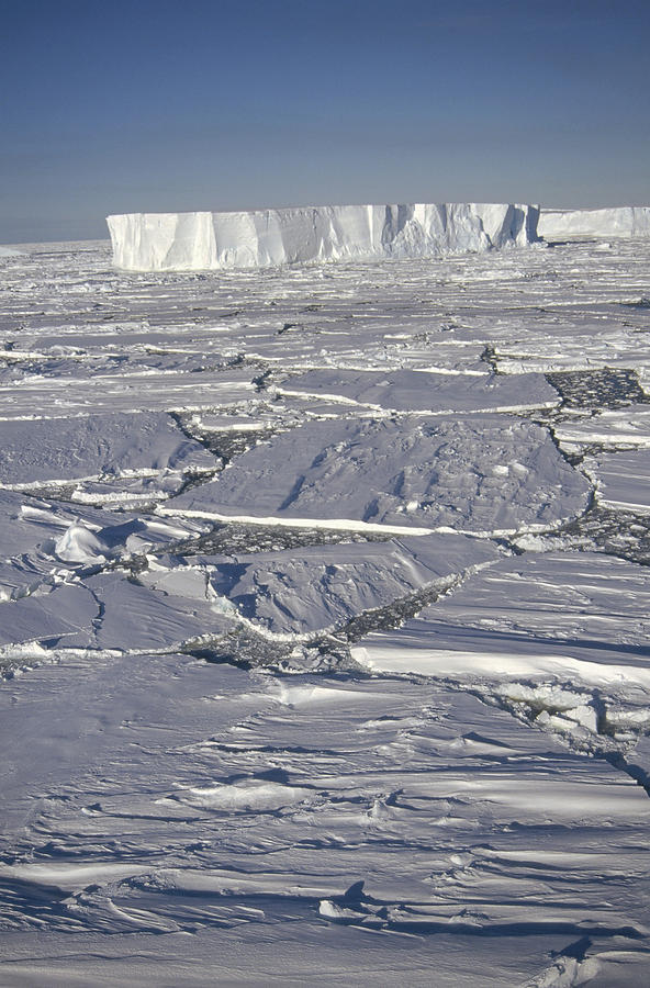 Nature Photograph - Tabular Icebergs Among Broken Fast Ice by Tui De Roy