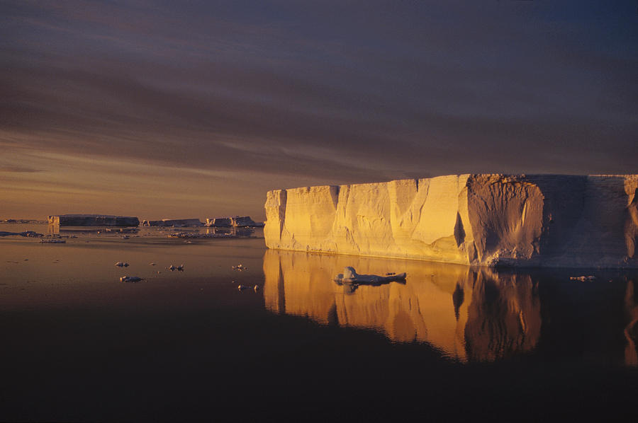 Tabular Icebergs At Sunrise Antarctica Photograph by Tui De Roy