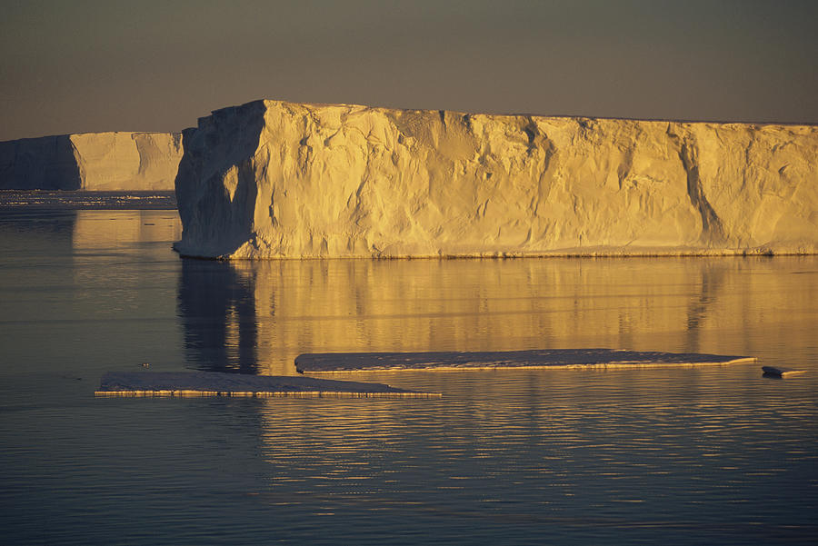 Tabular Icebergs In Late Summer Sun Photograph by Tui De Roy