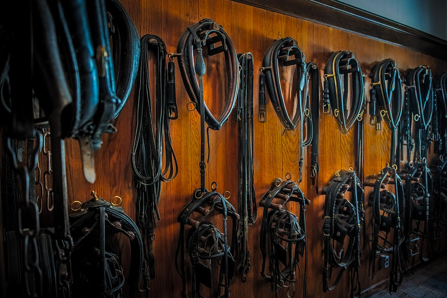 Tack Room Photograph by Paul Freidlund