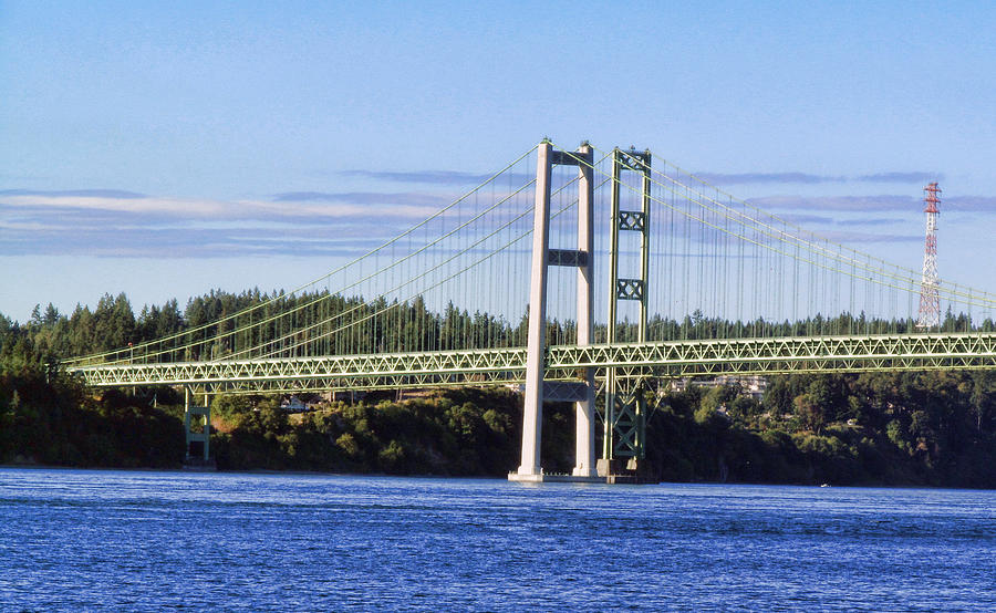 Tacoma Narows Bridge 54 Photograph by Ron Roberts