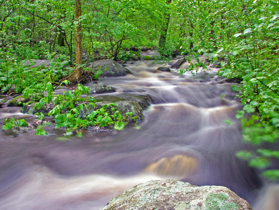 Tadmuck Brook Photograph by Frank Winters