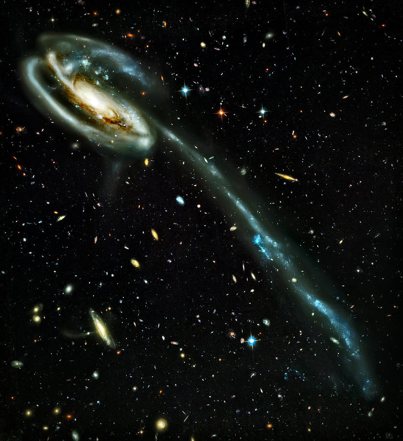 Space Photograph - Tadpole Galaxy by Jennifer Rondinelli Reilly - Fine Art Photography