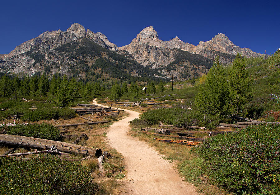 Taggart Lake Trail in the Tetons Photograph by Daniel Woodrum