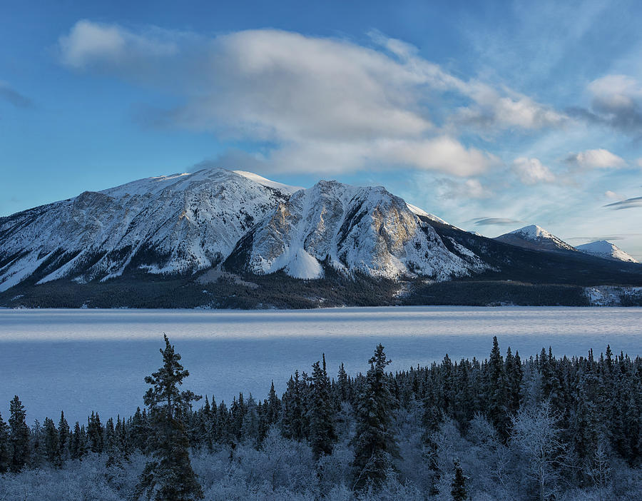 Tagish Lake Seen From The South Photograph by Robert Postma / Design Pics