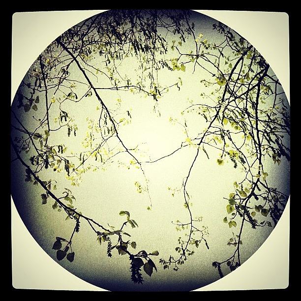 Love Photograph - #tagstagram.com #implus_daily #follow by Melissa Mariani