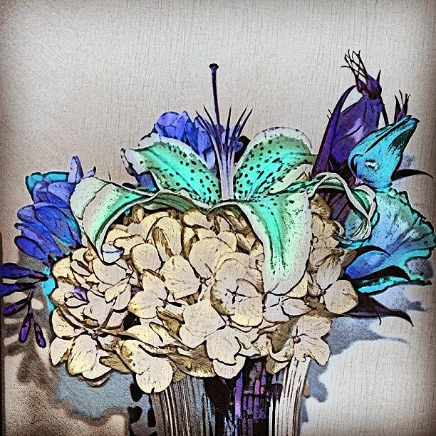 Flower Photograph - #tagstagram.com #love #implus_daily by Jamie Brown