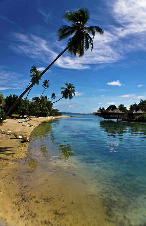 Tahiti | Moorea Photograph by Marzo . Photography