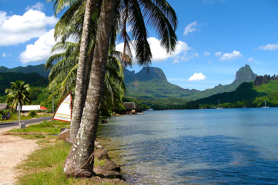 Tahiti View Photograph by Denise Mazzocco - Fine Art America