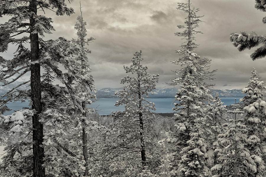 Tahoe Blue - Lake Tahoe - Nevada Photograph by Bruce Friedman