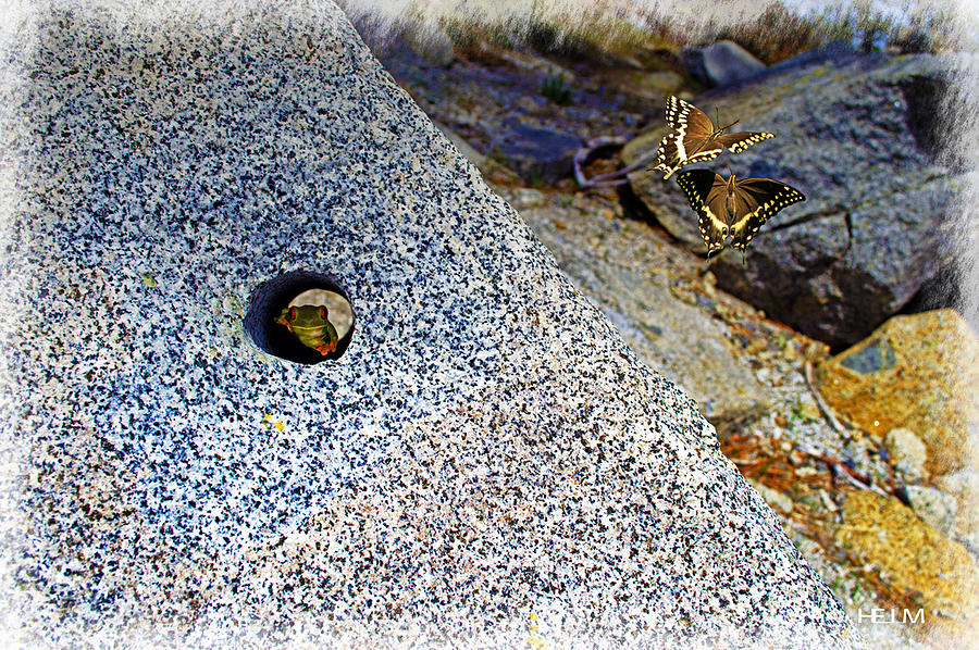Tahoe frog hole Photograph by Mayhem Mediums