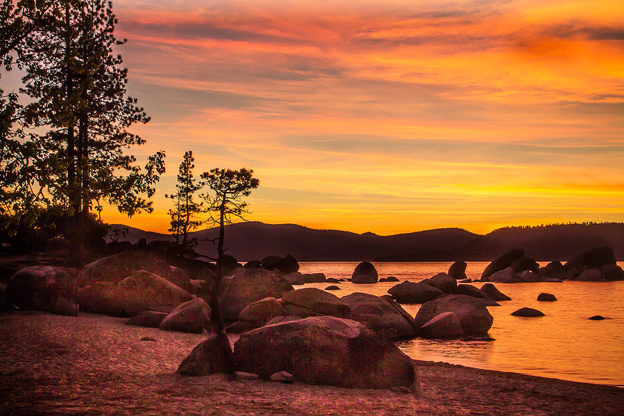 Tahoe Golden Sunset Photograph by Steven Bateson