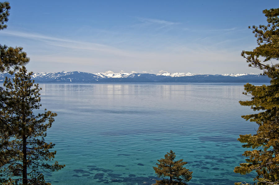 Paradise Photograph - Tahoe Paradise by Donna Doherty