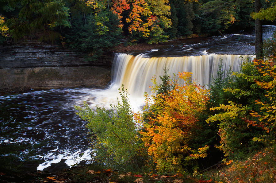 Nature Photograph - Tahquamenon Falls, Autumn Color Forest by Panoramic Images