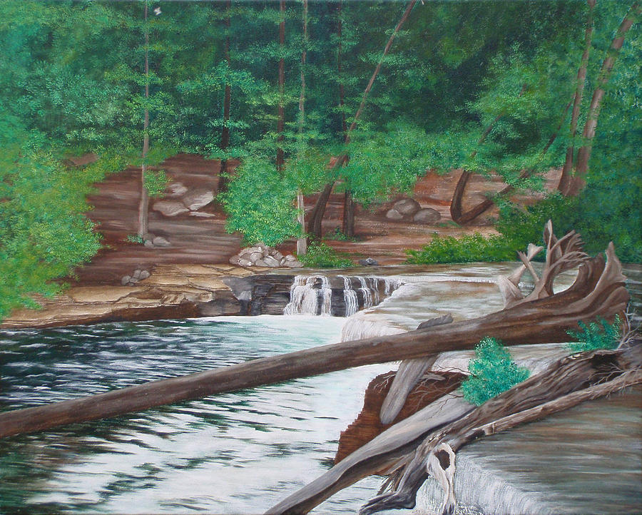 Waterfall Painting - Tahquamenon Falls by Brandy Gerber