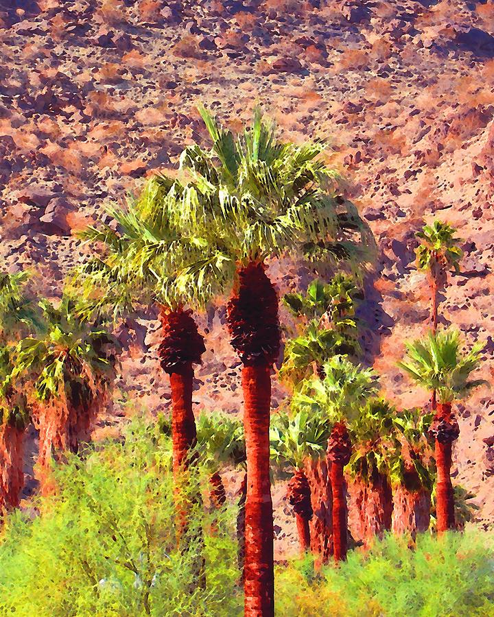Tahquitz Canyon Palms Photograph by Timothy Bulone