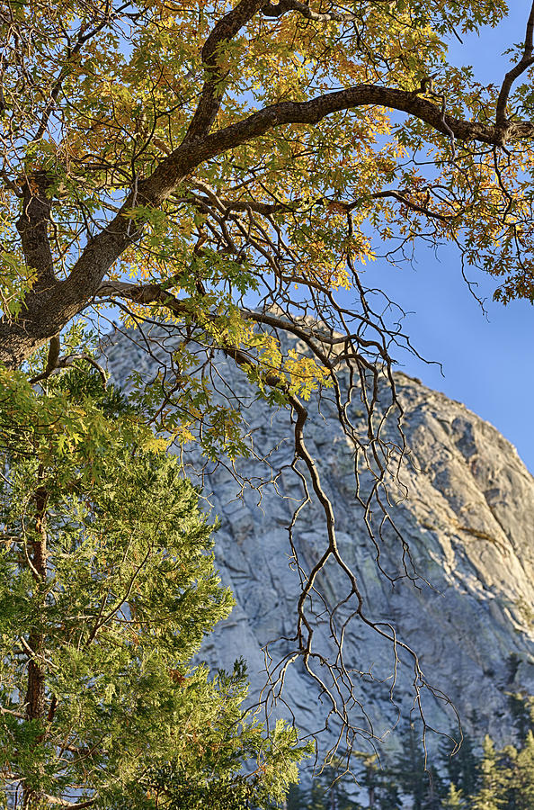 Tahquitz Mountain in Fall Photograph by Scott Campbell