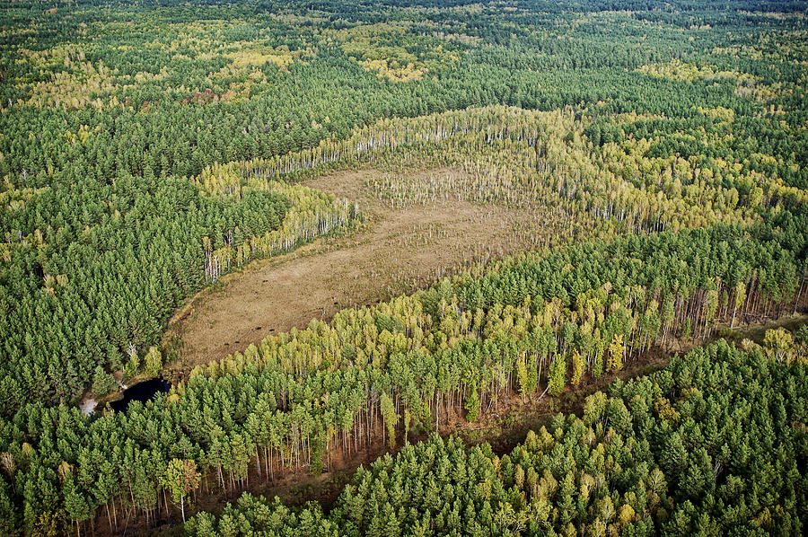 Taiga Bog Chernobyl Exclusion Zone Photograph by James Christensen
