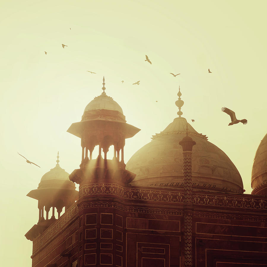 Taj Mahal Photograph by Thepalmer