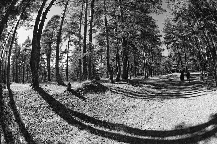 Take A Walk With Me Photograph By Vessela Banzourkova