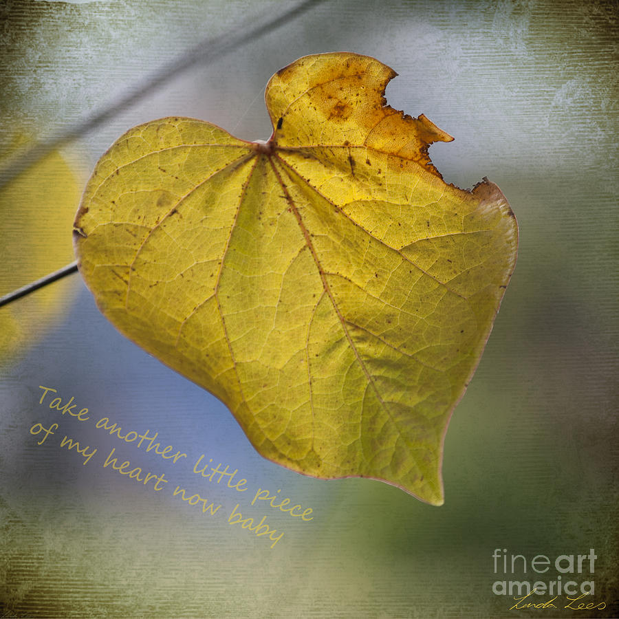 Music Photograph - Take another little piece of my heart by Linda Lees