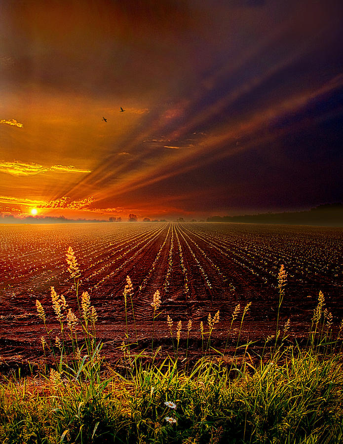 Landscape Photograph - Take It To The Limit by Phil Koch