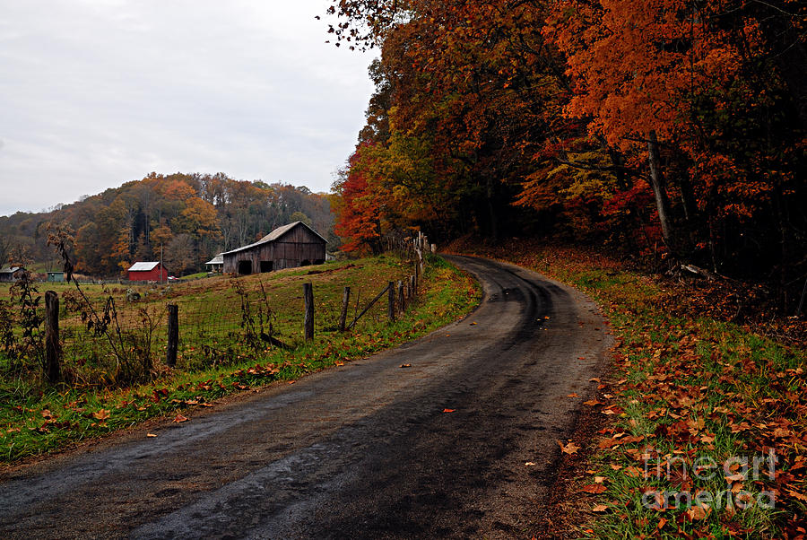 Nature Photograph - Take Me Home Country Road by Larry Ricker
