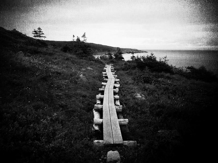 Take Me to the Sea - East Coast Trail Photograph by Zinvolle Art