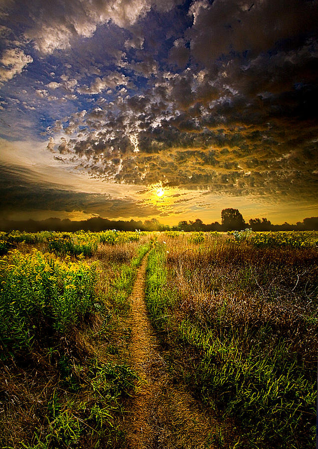 Landscape Photograph - Take My Hand by Phil Koch