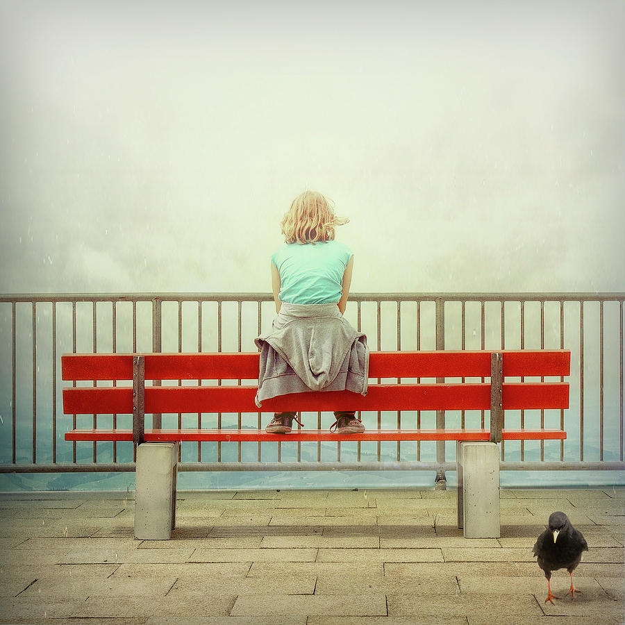 Fly Photograph - Take Off by Ambra Fly Photograph - Take Off by Ambra
