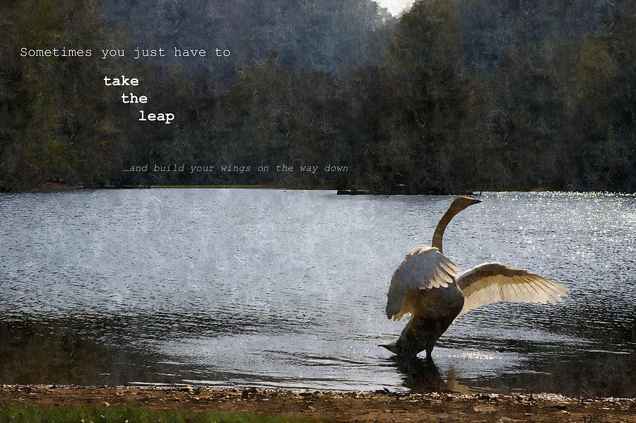 Swan Photograph - Take the leap by Max Josefsson
