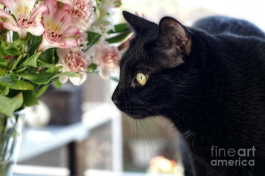 Take Time To Smell The Flowers Photograph by Peggy Hughes
