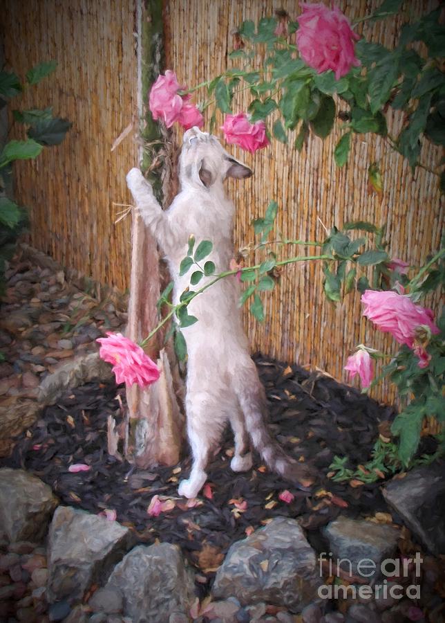 Take Time to Smell the Roses Photograph by Peggy Hughes