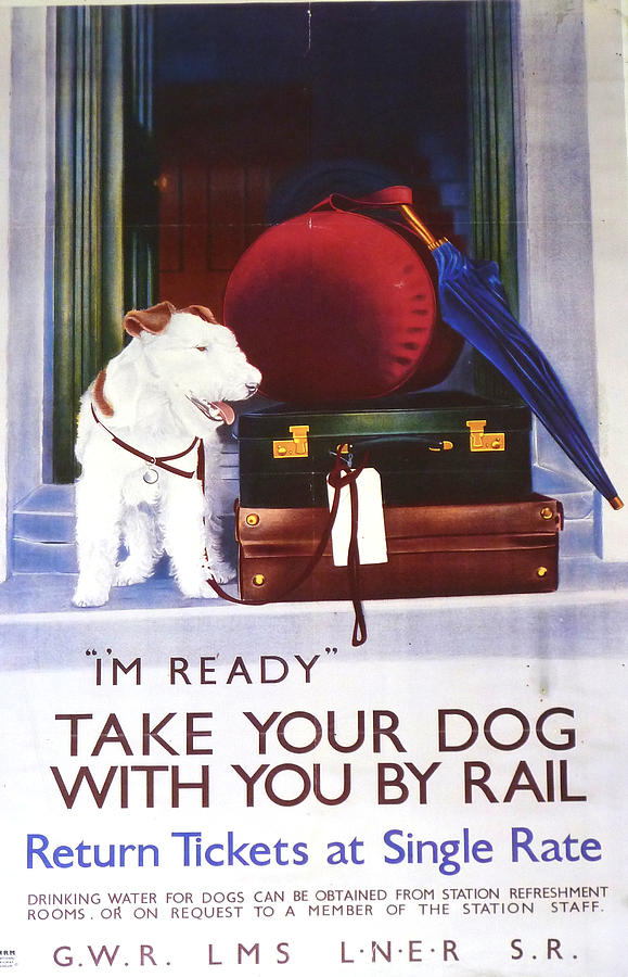 Take Your Dog by Rail Railway Poster Photograph by Gordon James