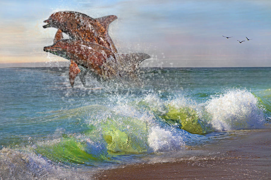 Dolphin Digital Art - Taken for Granted by Betsy Knapp