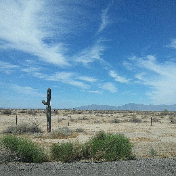 Desert Photograph - Taken On Route To La #desert #cactus by Jarryd Thompson