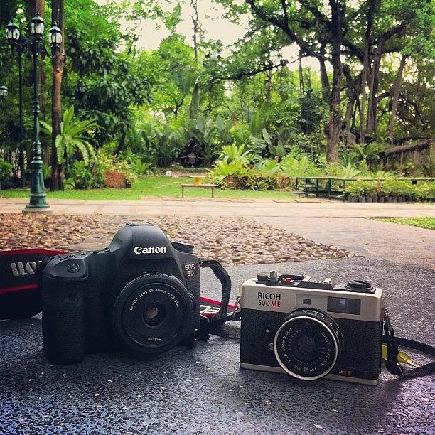 Camera Photograph - #takeshijr & #sasuke In The #park :d // by June T