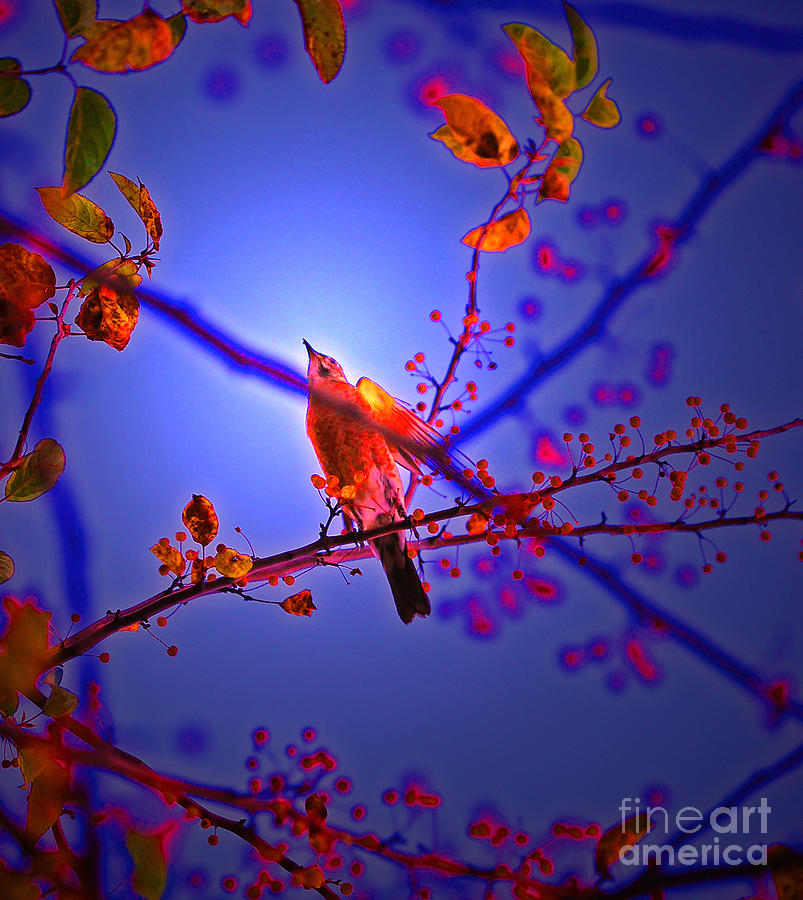 Nature Photograph - Taking Flight by jrr by First Star Art