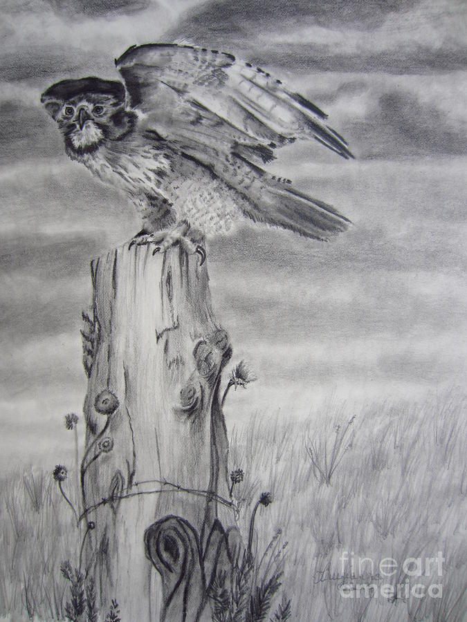 Taking Flight Drawing by Laurianna Taylor