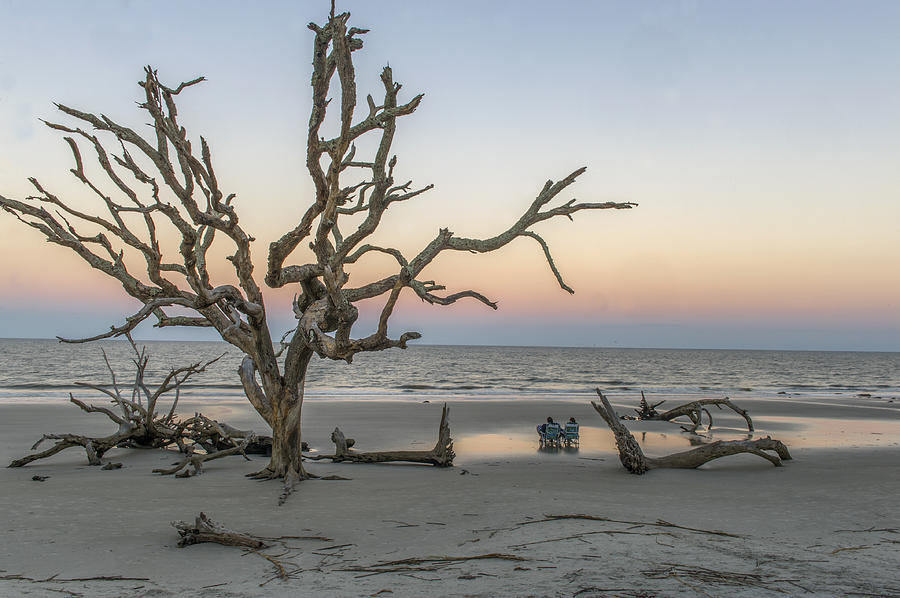 Taking It All In At Driftwood Beach During Sunset On Jekyll Island Georgia Photograph by Willie Harper
