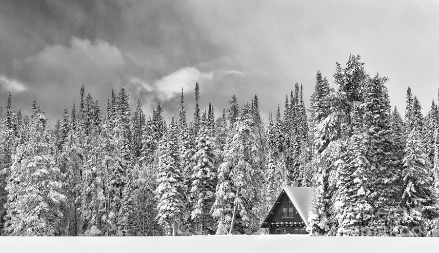 Black And White Photograph - Taking Refuge - Grand Teton by Sandra Bronstein