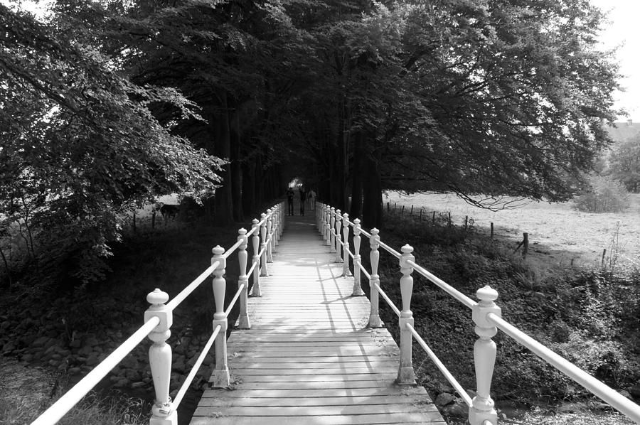 Taking The Bridge To Photograph by Jolly Van der Velden