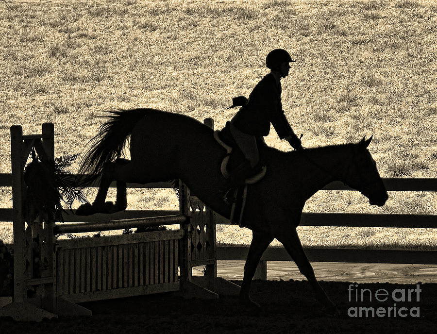 Horse Photograph - Taking the Fence by Susan Jones