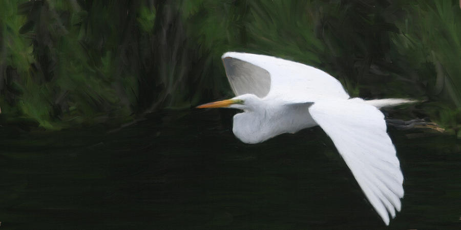Wildlife Painting - Taking Wing by Forest Stiltner