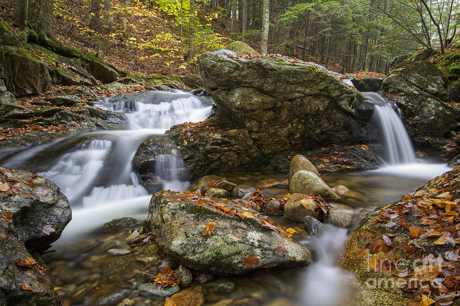 Nature Photograph - Talford Brook Cascades - Thornton New Hampshire USA #1 by Erin Paul Donovan